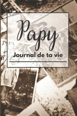 Cover of Papy journal de ta vie