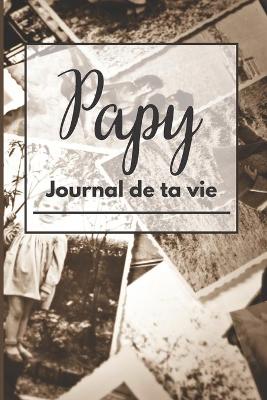 Book cover for Papy journal de ta vie