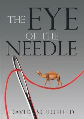 Book cover for The Eye of the Needle