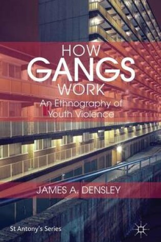 Cover of How Gangs Work: An Ethnography of Youth Violence