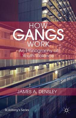 Book cover for How Gangs Work: An Ethnography of Youth Violence