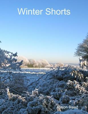 Book cover for Winter Shorts