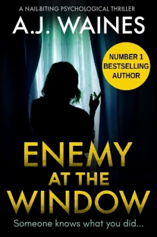 Cover of Enemy At The Window