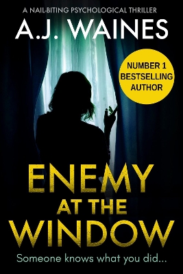 Book cover for Enemy At The Window