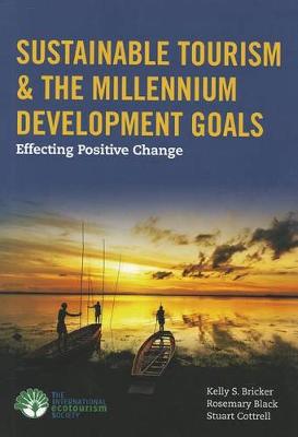 Book cover for Sustainable Tourism  &  The Millennium Development Goals