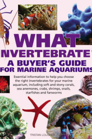 Cover of What Invertebrate?