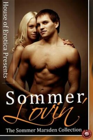 Cover of Sommer Lovin'