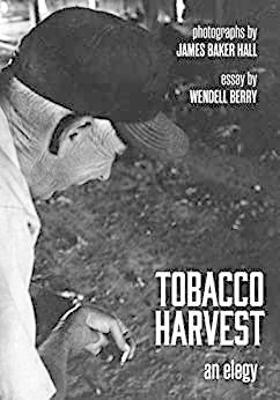 Book cover for Tobacco Harvest