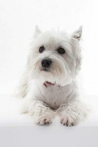 Cover of West Highlander White Terrier Westie Posing Journal