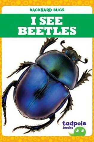 Cover of I See Beetles