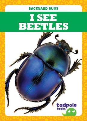 Book cover for I See Beetles