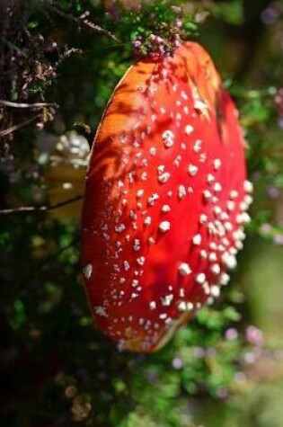 Cover of Beautiful Wild Fly Agaric Mushroom Journal