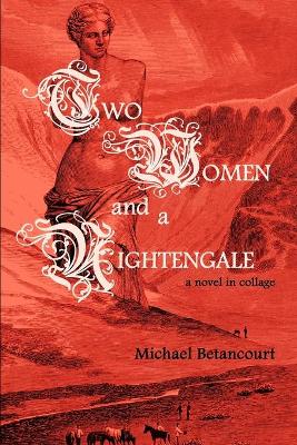 Book cover for Two Women and a Nightengale