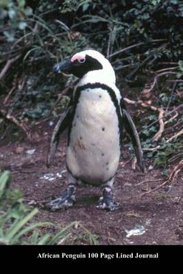 Book cover for African Penguin 100 Page Lined Journal