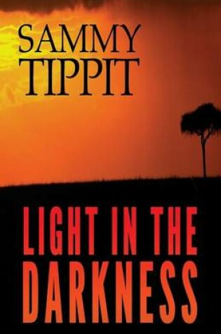 Cover of Light in the Darkness