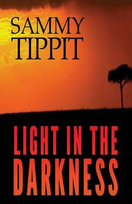 Book cover for Light in the Darkness