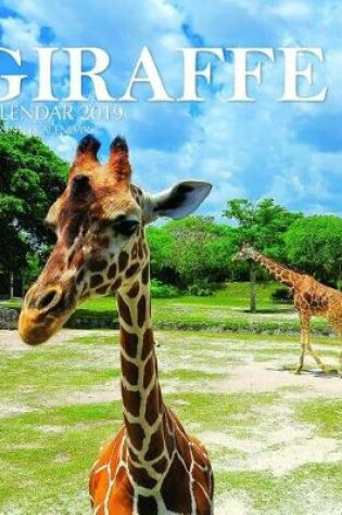 Cover of Giraffe Calendar 2019