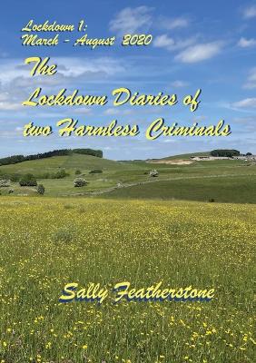 Book cover for Lockdown Diary