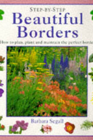 Cover of Beautiful Borders