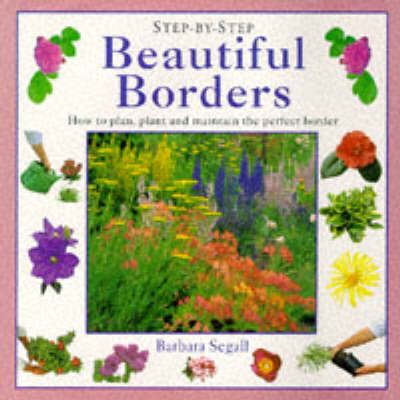 Book cover for Beautiful Borders