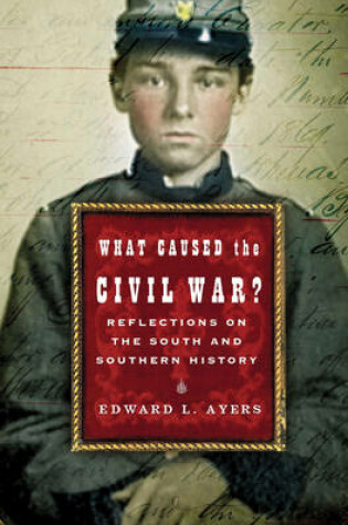 Cover of What Caused the Civil War? Reflections on the South and Southern History