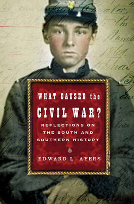 Book cover for What Caused the Civil War? Reflections on the South and Southern History