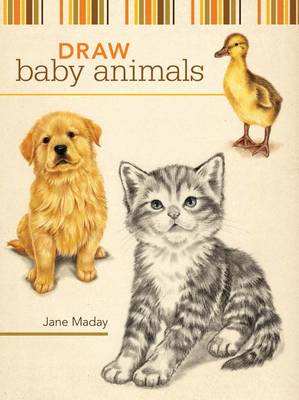 Book cover for Draw Baby Animals