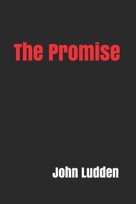 Book cover for The Promise