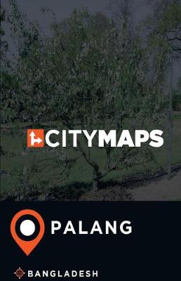 Book cover for City Maps Palang Bangladesh