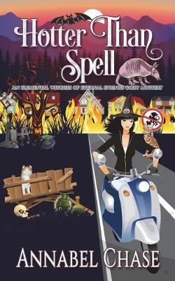 Cover of Hotter Than Spell