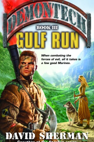 Cover of Gulf Run