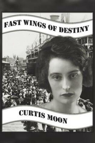 Cover of Fast Wings of Destiny