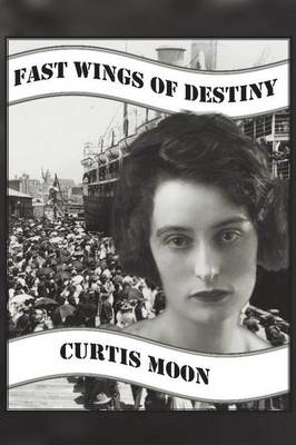 Cover of Fast Wings of Destiny