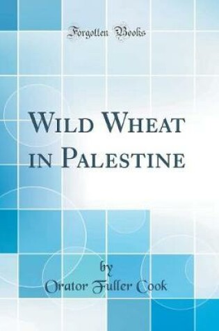 Cover of Wild Wheat in Palestine (Classic Reprint)