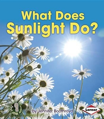 Book cover for What Does Sunlight Do