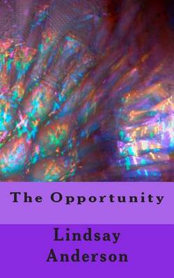 Book cover for The Opportunity