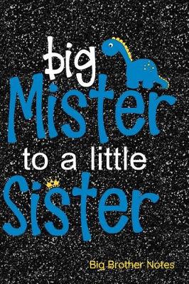 Book cover for Big Mister to a Little Sister