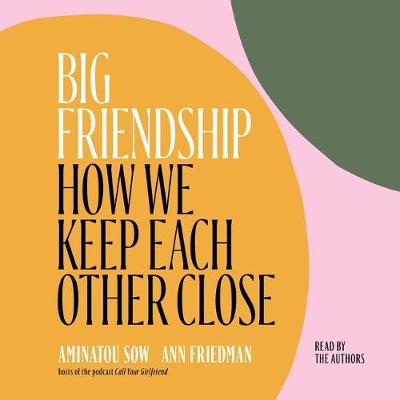 Book cover for Big Friendship