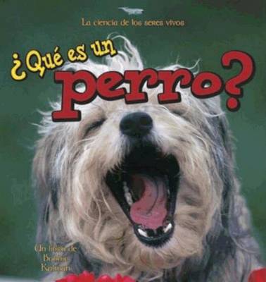 Book cover for Que es un Perro?