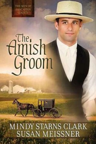 Cover of The Amish Groom