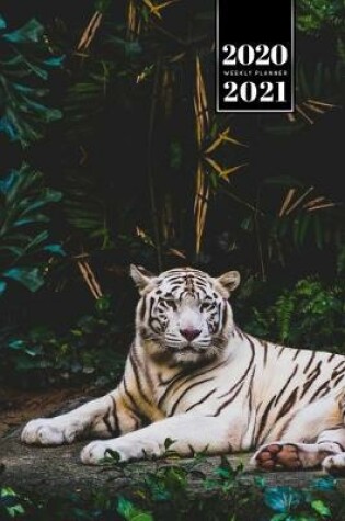 Cover of Tiger Week Planner Weekly Organizer Calendar 2020 / 2021 - Open Mouth