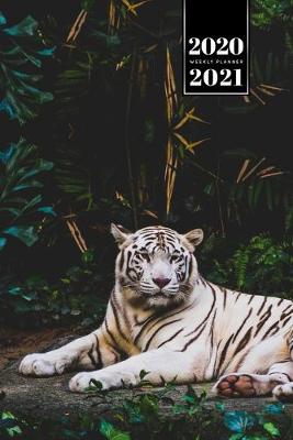 Book cover for Tiger Week Planner Weekly Organizer Calendar 2020 / 2021 - Open Mouth