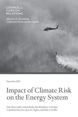 Book cover for Impact of Climate Risk on the Energy System