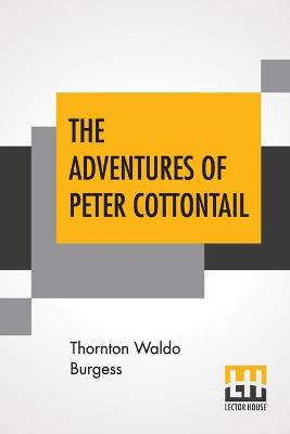 Book cover for The Adventures Of Peter Cottontail