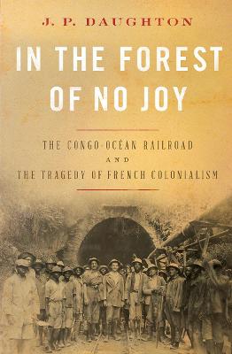 Book cover for In the Forest of No Joy