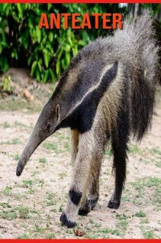 Cover of Anteater