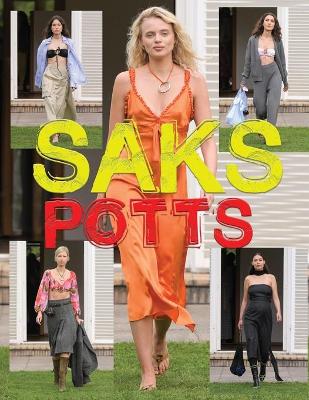 Book cover for Saks Potts