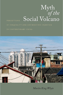 Cover of Myth of the Social Volcano