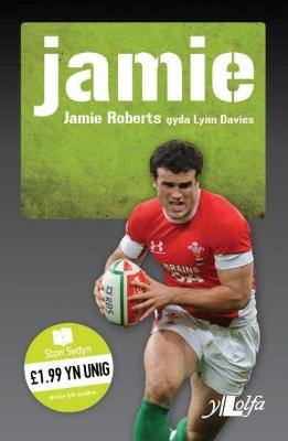 Book cover for Stori Sydyn: Jamie  Y Llew yn Ne Affrica