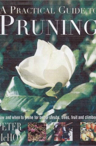 Cover of A Practical Guide to Pruning